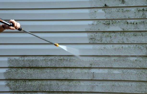 Best House Pressure Washing  in Burien, WA
