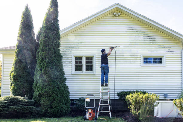 Best Affordable Pressure Washing  in Burien, WA